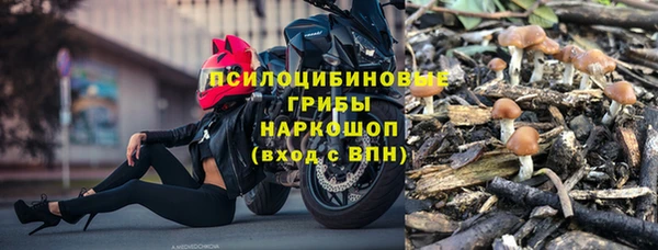 spice Магас