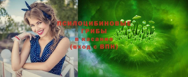 spice Магас